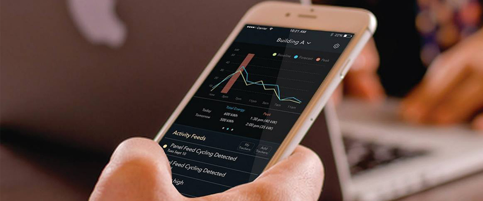 Verdigris app running on smart phone